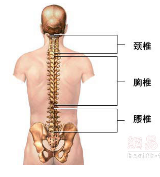沙漏腰3.0进阶案例研究：30分钟站立无跑跳核心训练对髋灵活、胸椎灵活的提升